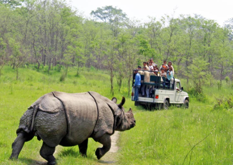 Chitwan National Park (Nepal)