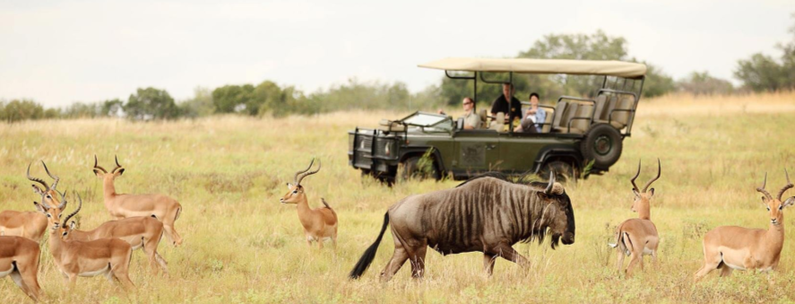 Kruger National Park (South Africa)