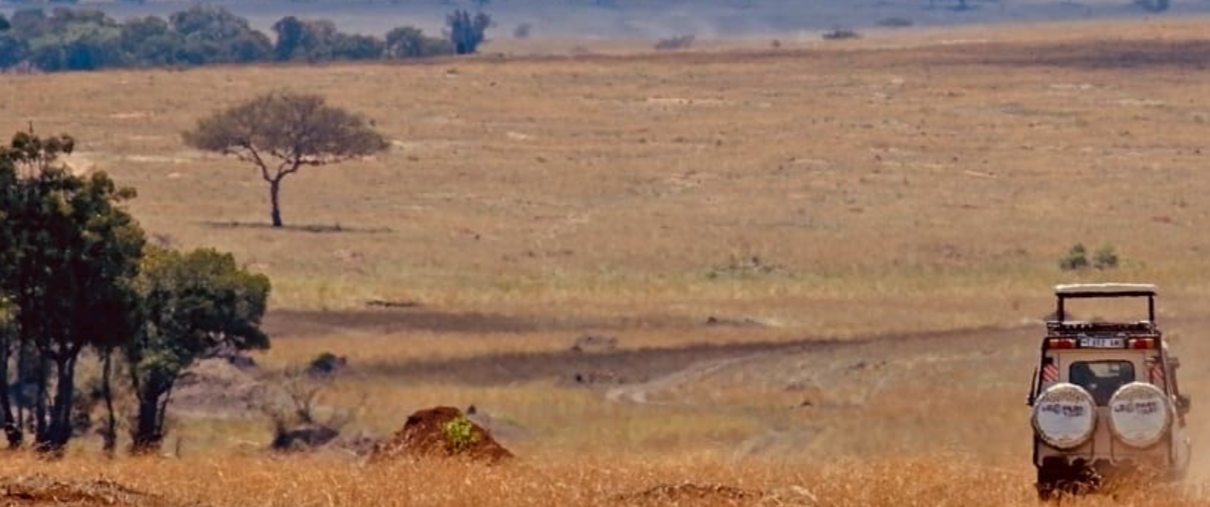 Masai Mara (Kenya) and Serengeti (Tanzania)