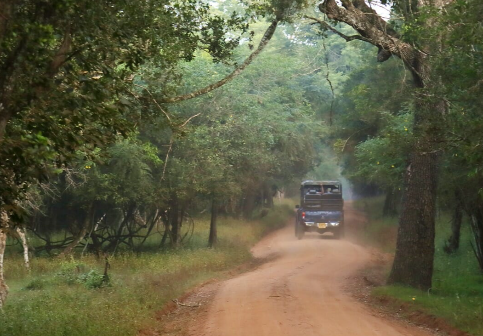 Wilpattu National Park