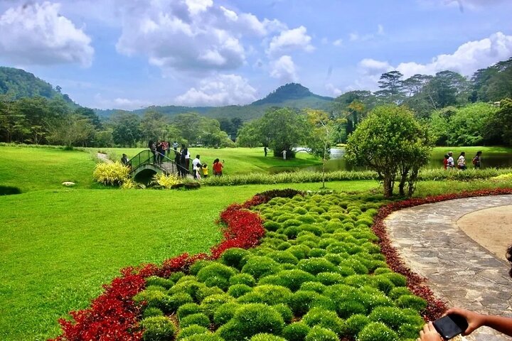 Japanese Garden