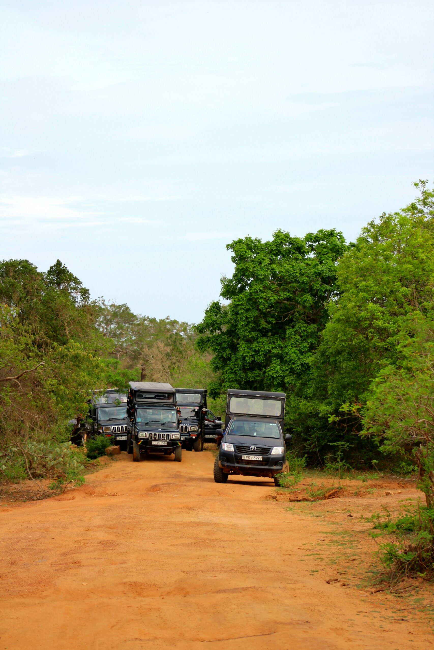 Jeep safari Yala