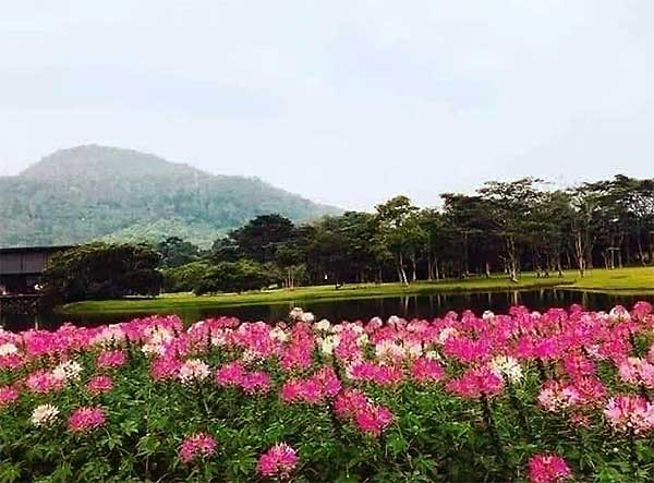 Colorful flower beds at Seethawaka Botanical Garden