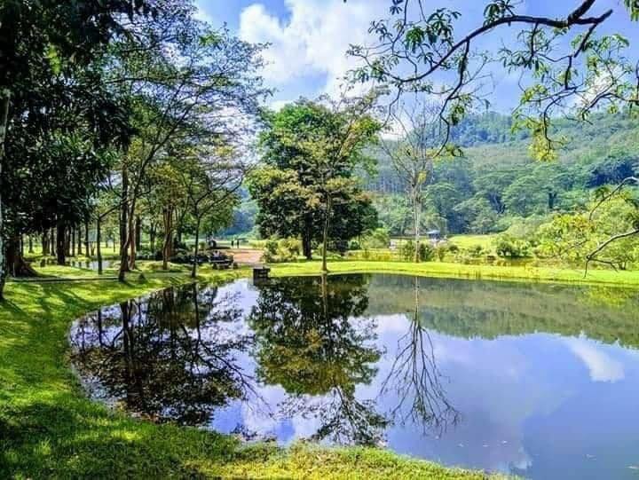 Seethawaka Botanical Garden