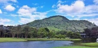 Seethawaka Botanical Garden – A Paradise of Flora and Serenity Seethawaka Botanical Garden