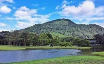 Seethawaka Botanical Garden – A Paradise of Flora and Serenity Seethawaka Botanical Garden