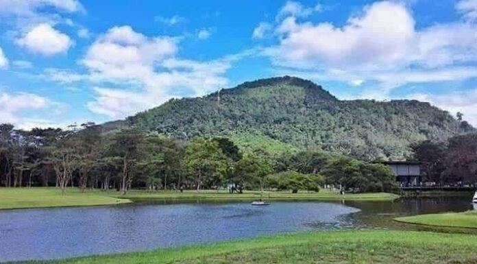 Seethawaka Botanical Garden – A Paradise of Flora and Serenity Seethawaka Botanical Garden