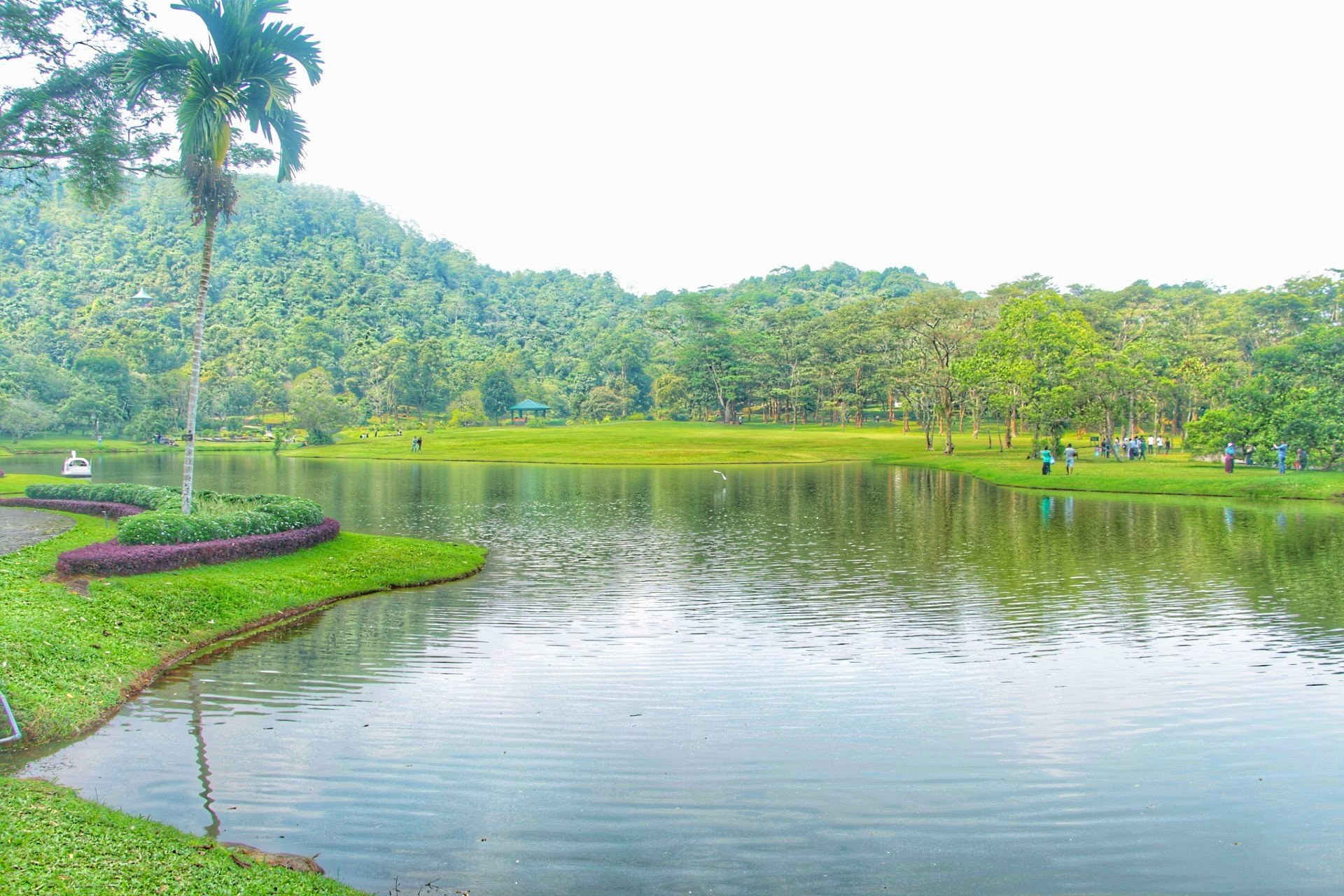 Seethawaka Botanical Garden