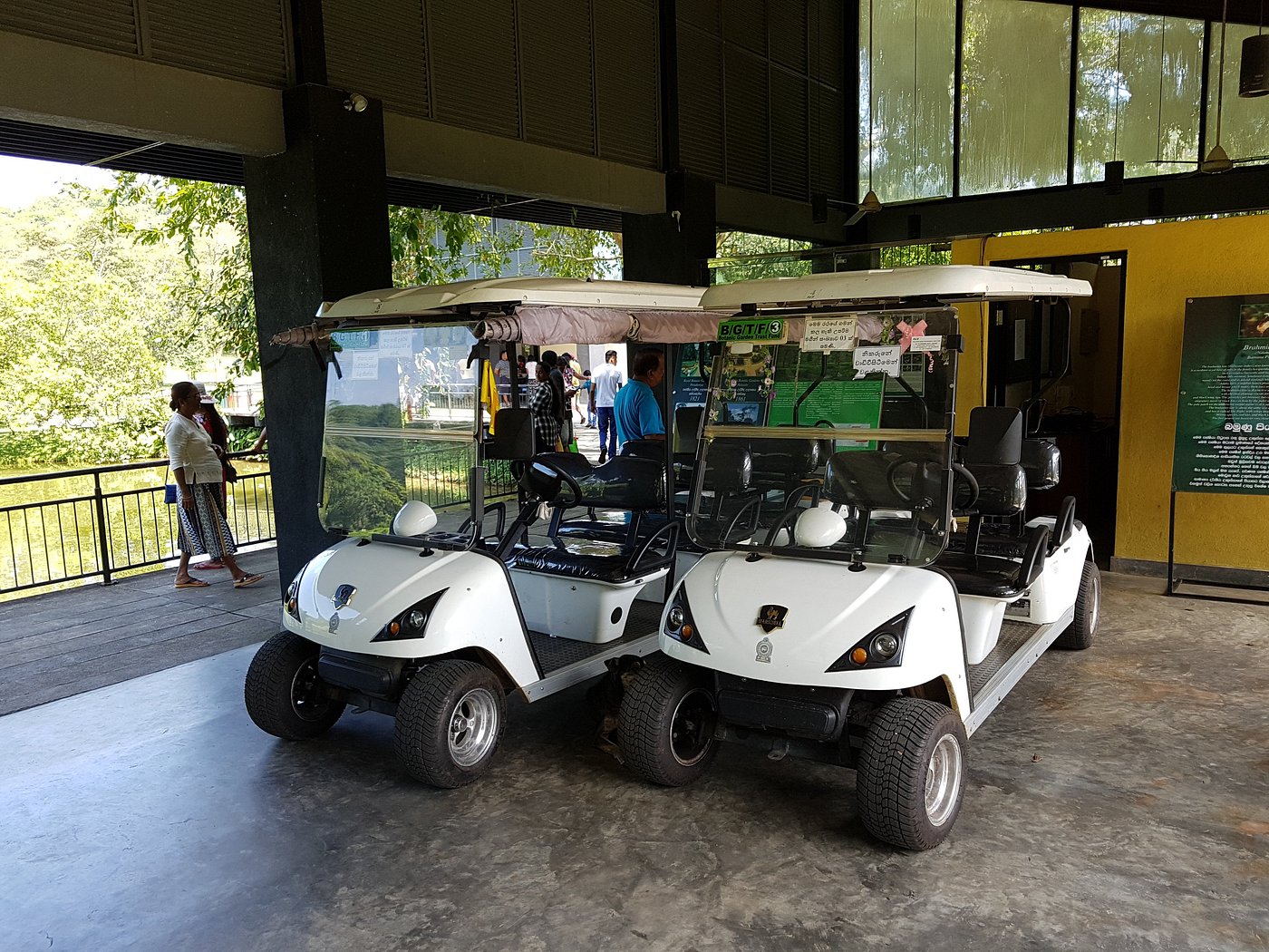 electric golf cart