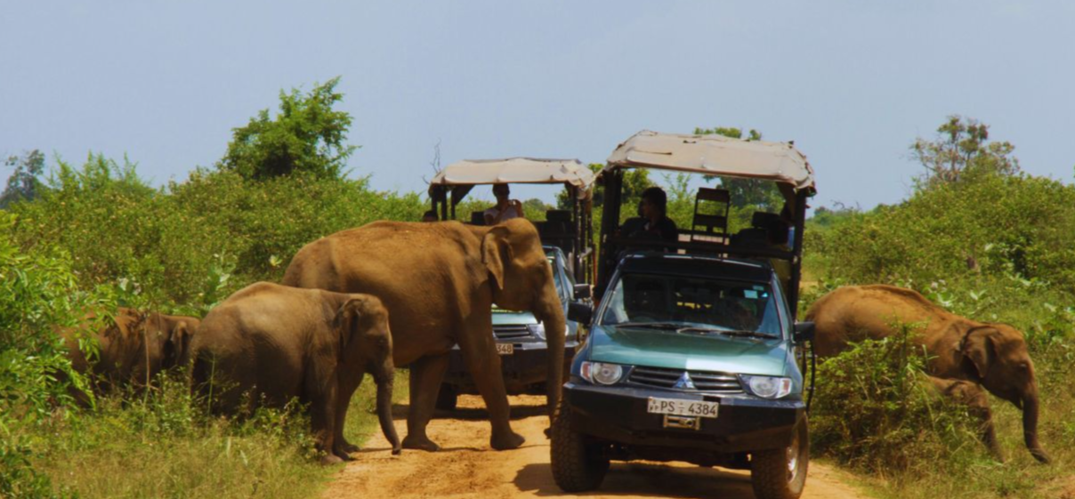 Udawalawe National Park