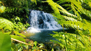 Uguduwa Ella Waterfall