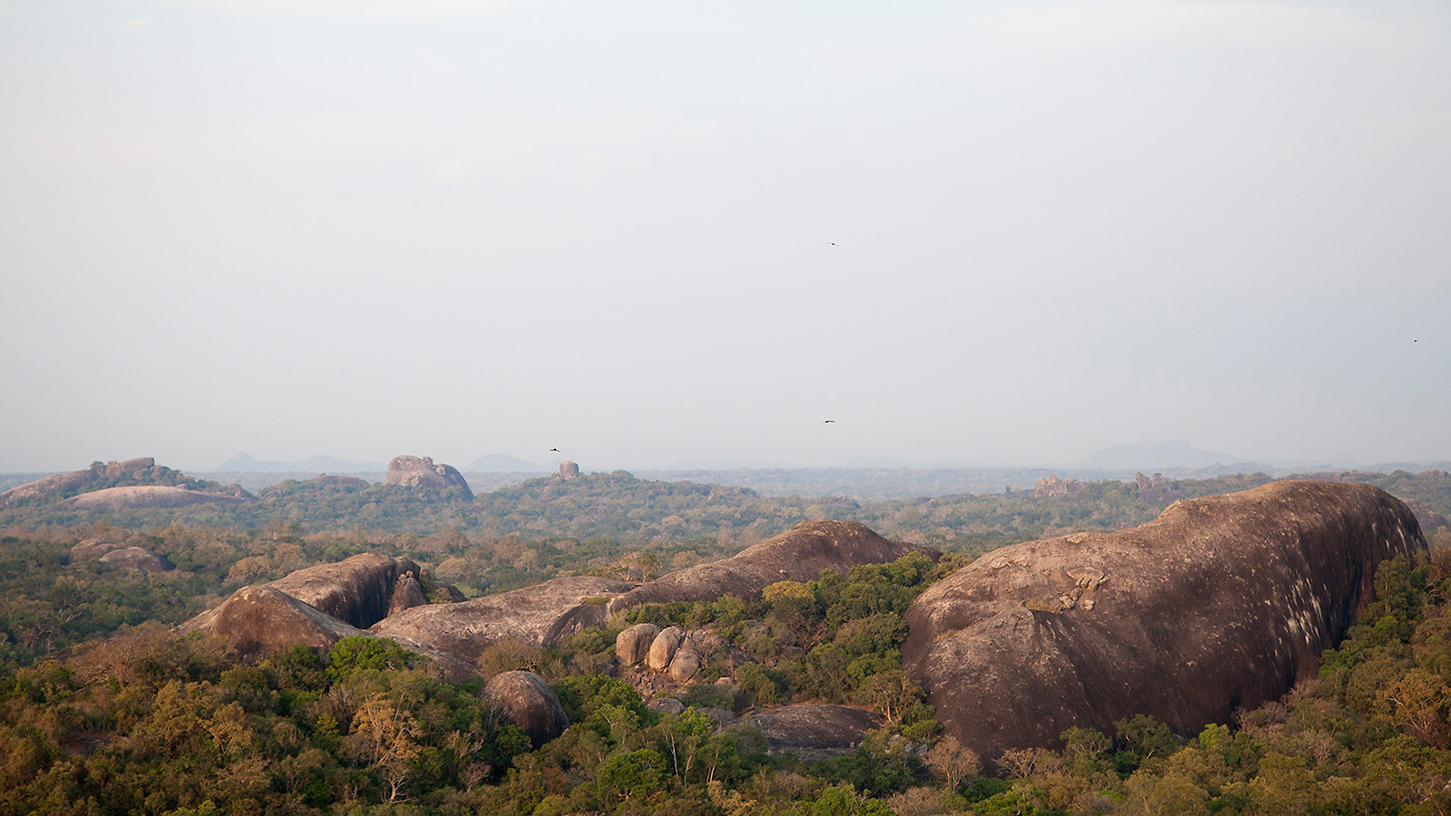 kudumbigala monastery