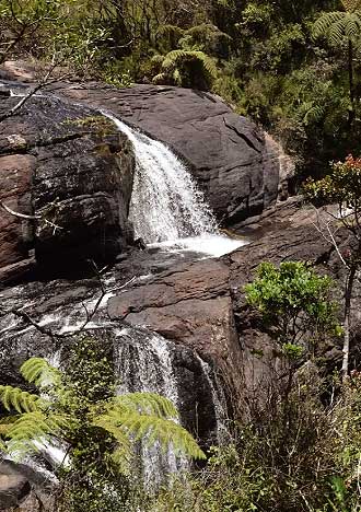Scenic view of Baker’s Falls surrounded by greenery
