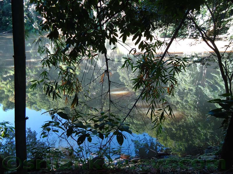 Udawattekele Sanctuary