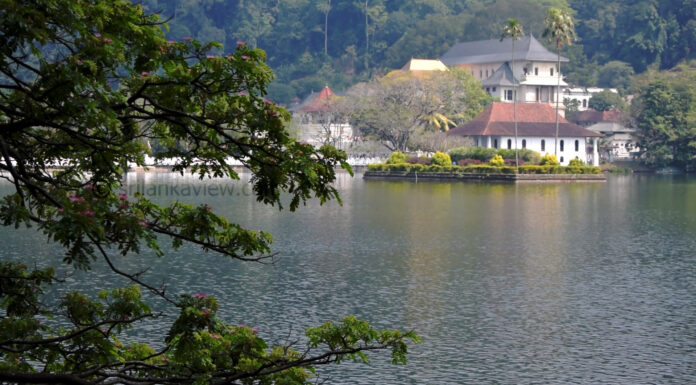 Top Places to visit in Kandy – A Traveler’s Guide to the Cultural Heart of the Island Places to visit in Kandy