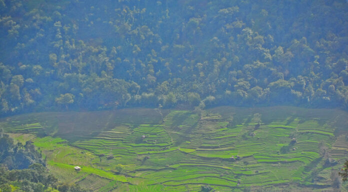 Kohonawala Village – A Hidden Gem in Madolsima, Sri Lanka Kohonawala Village