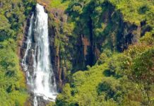 Devon Falls – A Majestic Waterfall in Sri Lanka’s Hill Country Devon Falls waterfall in Sri Lanka’s hill country