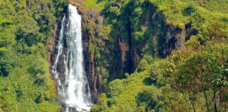 Devon Falls – A Majestic Waterfall in Sri Lanka’s Hill Country Devon Falls waterfall in Sri Lanka’s hill country
