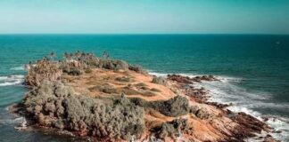 Blue Beach Island Underwater Gallery – Nilwella Blue Beach Island Underwater Gallery - Nilwella