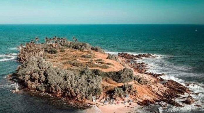 Blue Beach Island Underwater Gallery – Nilwella Blue Beach Island Underwater Gallery - Nilwella