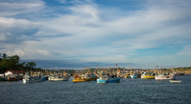 nilwella fishery harbour