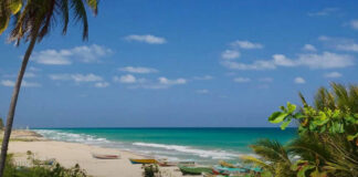 Top Places to Visit in Trincomalee, Sri Lanka: A Complete Travel Guide Beautiful beach in Trincomalee Sri Lanka