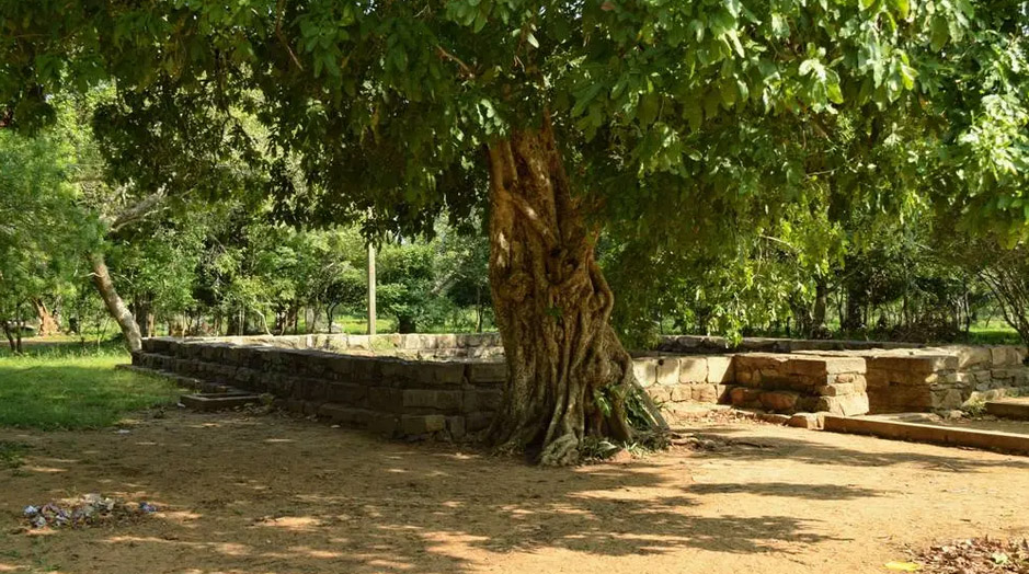 Seruwila Mangala Raja Maha Vihara