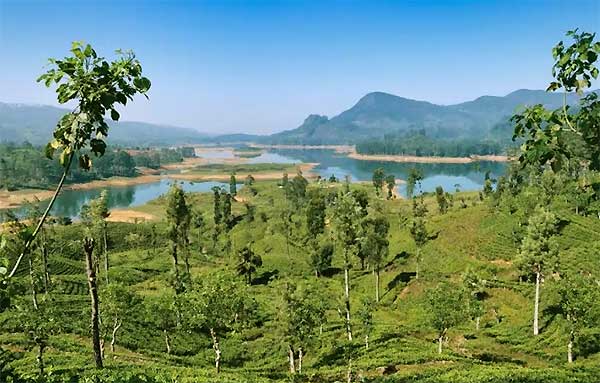 Misty landscape around Gartmore Waterfall Sri Lanka
