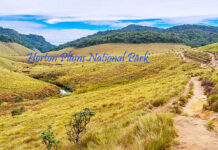 Horton Plains National Park – A Mesmerizing Escape into Sri Lanka’s Wilderness Scenic view of Horton Plains National Park Sri Lanka