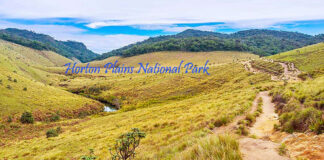 Horton Plains National Park – A Mesmerizing Escape into Sri Lanka’s Wilderness Scenic view of Horton Plains National Park Sri Lanka