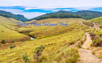Horton Plains National Park – A Mesmerizing Escape into Sri Lanka’s Wilderness Scenic view of Horton Plains National Park Sri Lanka