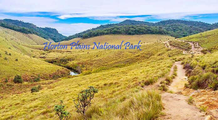 Horton Plains National Park – A Mesmerizing Escape into Sri Lanka’s Wilderness Scenic view of Horton Plains National Park Sri Lanka