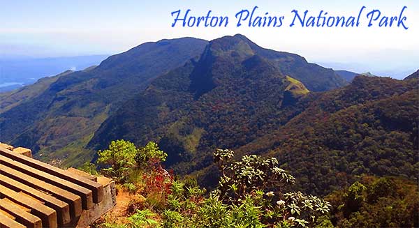 View of World’s End cliff at Horton Plains National Park
