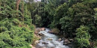 Bulathkohupitiya – Sri Lanka Travel Guide: Discover a Hidden Paradise in the Hills bulathkohupitiya