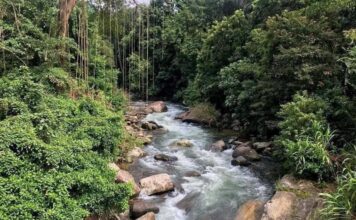 Bulathkohupitiya – Sri Lanka Travel Guide: Discover a Hidden Paradise in the Hills bulathkohupitiya
