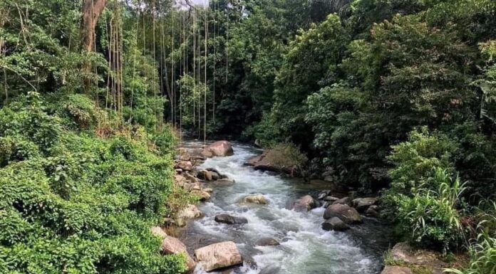 Bulathkohupitiya – Sri Lanka Travel Guide: Discover a Hidden Paradise in the Hills bulathkohupitiya