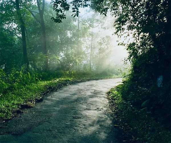 Beautiful rural scenery in Bulathkohupitiya area
