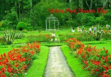 Victoria Park Nuwara Eliya – A Serene Escape in Sri Lanka’s Little England Colorful flower garden at Victoria Park Nuwara Eliya on a sunny day