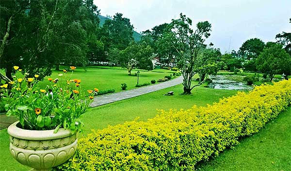 Tranquil walking path with lush greenery in Victoria Park Sri Lanka