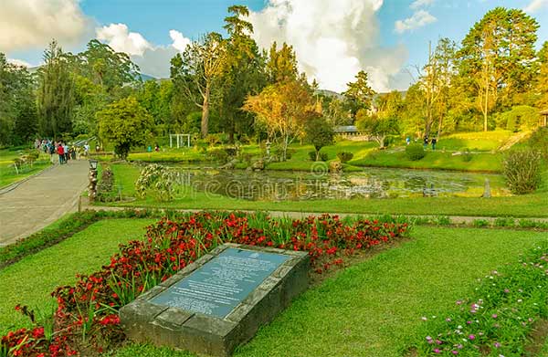 Scenic pond with flowers at Victoria Park Nuwara Eliya