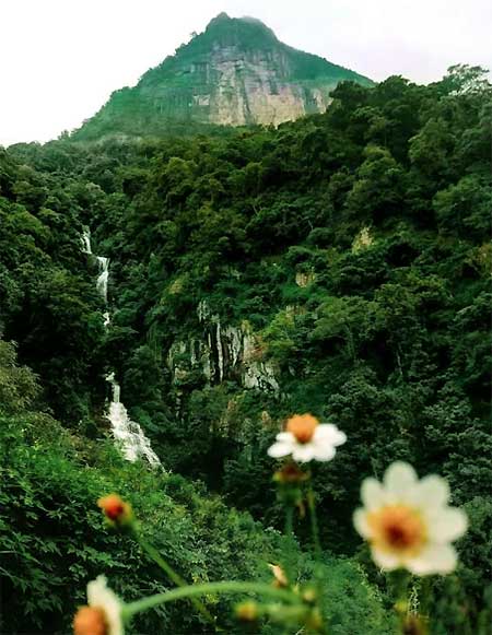 Scenic view of Mandaram Nuwara village in Sri Lanka