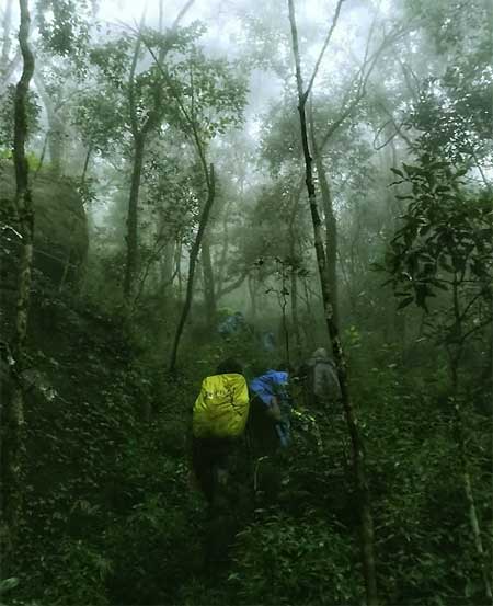 Morning mist over Mandaram Nuwara landscape