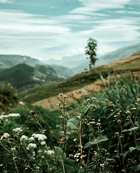 Misty mountains surrounding Mandaram Nuwara