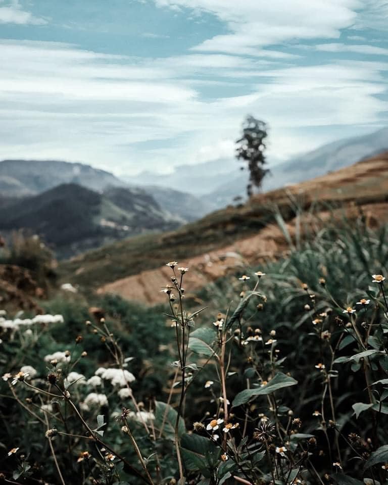 Mandaram Nuwara