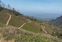Devil’s Staircase Sri Lanka: A Thrilling Hike with Breathtaking Views Devil’s Staircase