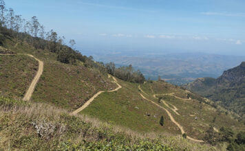 Devil’s Staircase Sri Lanka: A Thrilling Hike with Breathtaking Views Devil’s Staircase