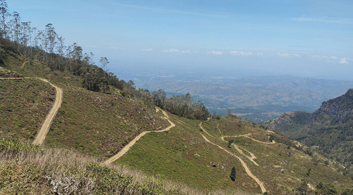 Devil’s Staircase Sri Lanka: A Thrilling Hike with Breathtaking Views Devil’s Staircase