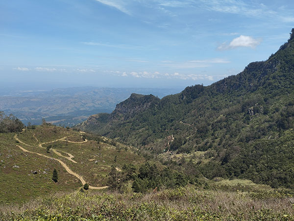 Hikers trekking through tea plantations in Sri Lanka highlands