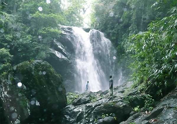 Natural beauty of Lankagama surrounded by dense forest