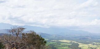 Belihuloya, Sri Lanka: A Hidden Paradise of Nature, Adventure, and Serenity Belihuloya, Sri Lanka: A Hidden Paradise of Nature